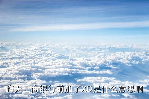 xd工商銀行是什么意思，征信系統(tǒng)中xd代號是哪個銀行