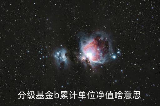 分級基金b累計(jì)單位凈值啥意思