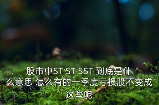st銀山是什么公司，數(shù)量單位用st表示是什么意思