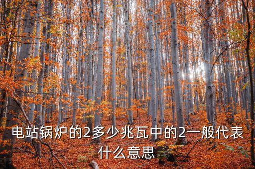 電站兆瓦什么意思，兆瓦是哪一個物理量的單位發(fā)電能力達45兆瓦說明什么意思