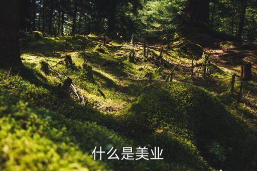 美業(yè)集團(tuán)是什么行業(yè)，什么是美業(yè)
