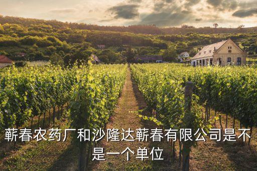 蘄春汪潮涌投資了什么，蘄春農(nóng)藥廠和沙隆達(dá)蘄春有限公司是不是一個(gè)單位