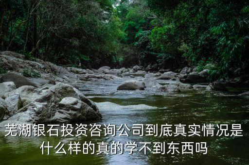 伯威控股是什么，威凌控股公司是做什么的