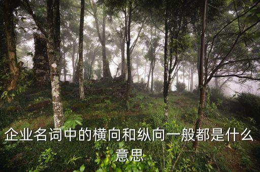 什么是企業(yè)橫向發(fā)展，什么是橫向一體化