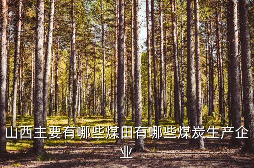 昊鑫礦業(yè)生產(chǎn)什么，晉煤金鼎公司都有哪些煤礦
