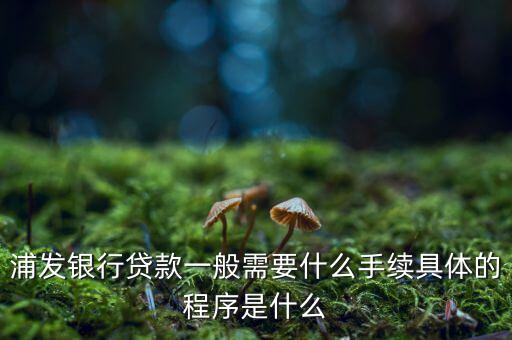 浦發(fā)銀行網(wǎng)貸通要什么條件，TB支持浦發(fā)  浦發(fā)開通網(wǎng)銀要什么條件比如要帶點(diǎn)什么的