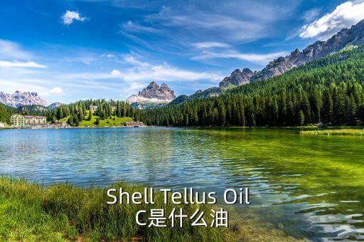 權益油是什么，Shell Tellus Oil C是什么油