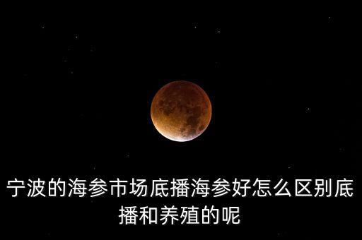 什么是底播海參，底播海參和非底播海參有什么區(qū)別