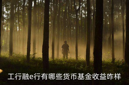 工行網(wǎng)銀有什么貨幣基金，工行融e行有哪些貨幣基金收益咋樣
