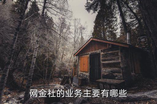 網金社的業(yè)務主要有哪些