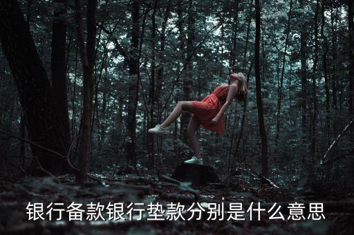 墊款是什么意思，還墊款是什么意思