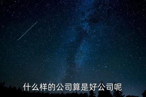 什么樣的公司是比較好的，有什么樣的公司是比較好的