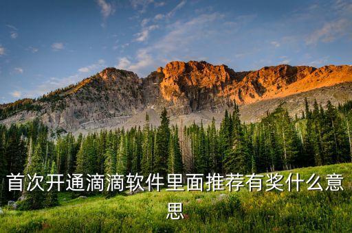 滴滴獎牌權(quán)益什么意思，滴滴單單獎利20元封頂什么意思