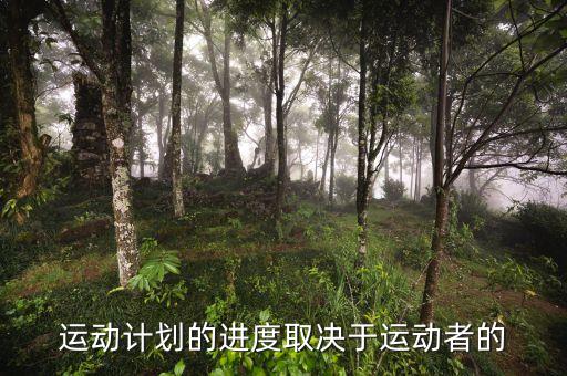 進(jìn)度安排的靈活性是什么決定，運(yùn)動(dòng)計(jì)劃的進(jìn)度取決于運(yùn)動(dòng)者的