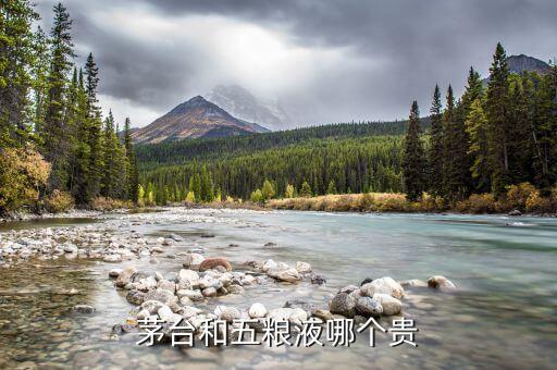 五糧液為什么沒(méi)有茅臺(tái)貴，茅臺(tái)和五糧液的每股市價(jià)為什么差距那么大 原因在哪里