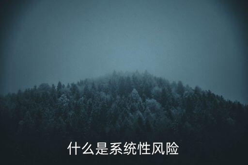 什么是系統(tǒng)性區(qū)域性風(fēng)險(xiǎn)，什么是系統(tǒng)性風(fēng)險(xiǎn)與區(qū)域性風(fēng)險(xiǎn)