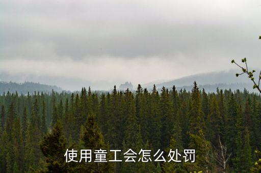 勞動(dòng)法中用童工有什么懲罰，使用童工會(huì)怎么處罰