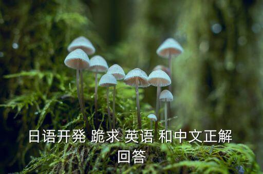 日語(yǔ)開発 跪求 英語(yǔ) 和中文正解 回答