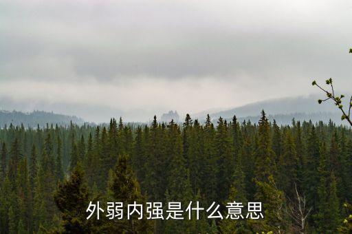 外弱內(nèi)強的是什么，外弱內(nèi)剛是什么意思