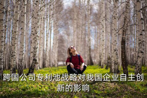 北京君正是什么公司，跨國公司專利池戰(zhàn)略對我國企業(yè)自主創(chuàng)新的影響