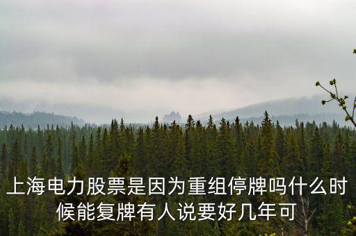 上海電氣什么時間復牌，上海電力股票是因為重組停牌嗎什么時候能復牌有人說要好幾年可