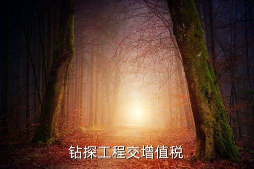 鉆探費繳什么稅，鉆井公司主要繳納哪些稅