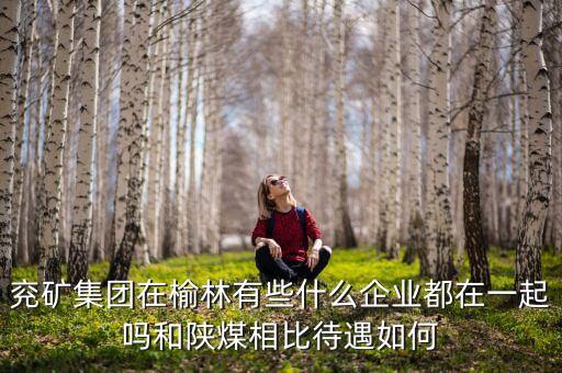 兗州煤業(yè)公司經(jīng)營什么，兗礦集團在榆林有些什么企業(yè)都在一起嗎和陜煤相比待遇如何