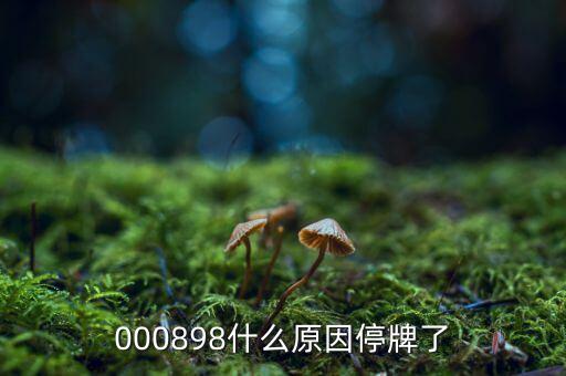 皇氏乳業(yè)為什么停牌，000009今天為何停牌