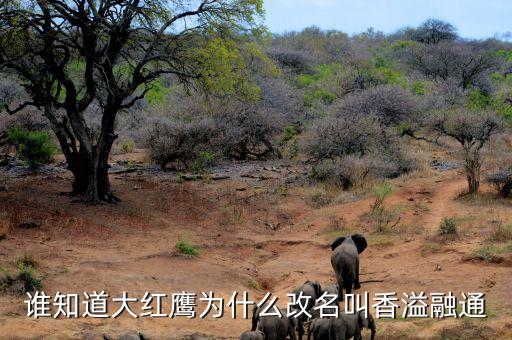 大紅鷹為什么改成香溢融通，新安江香煙 為什么要改名成大紅鷹啊