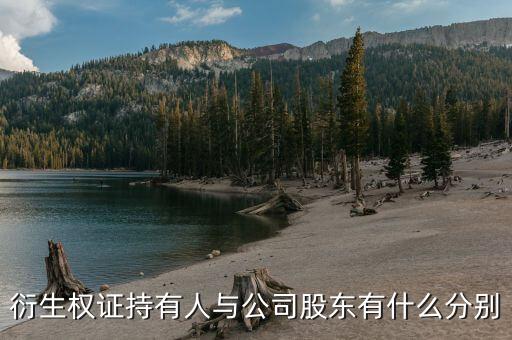 衍生權證是什么，衍生權證持有人與公司股東有什么分別