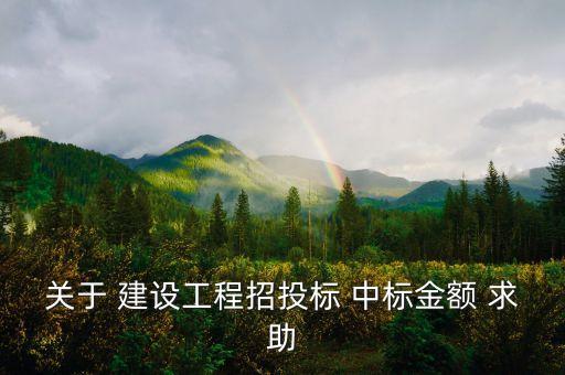 中標(biāo)金額是什么，關(guān)于 建設(shè)工程招投標(biāo) 中標(biāo)金額 求助