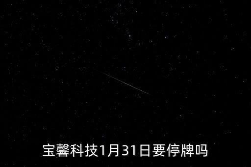 寶馨科技什么時候復牌，000560各位大神知道啥時候復牌