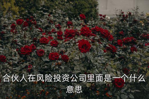 vc合伙人是什么，風(fēng)險投資公司中的合伙人和經(jīng)理人都是什么意思