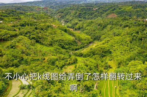 股票k線圖翻轉(zhuǎn)按什么鍵，電腦上股票k線圖怎么才能往前翻