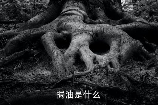 粵油是什么，輕質(zhì)油在炒原油里的什么油比如什么大連油粵油