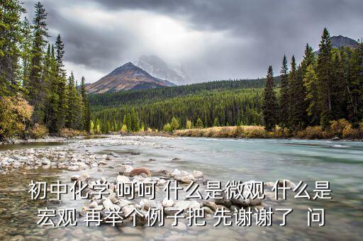 什么是宏觀事實，初中化學(xué) 呵呵 什么是微觀 什么是宏觀 再舉個例子把 先謝謝了  問
