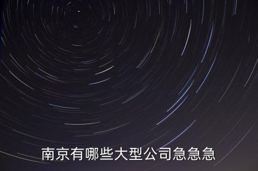 蘇寧什么時(shí)候收購(gòu)舜天，南京有哪些大型公司急急急