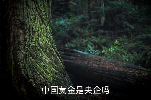 中國黃金為什么是央企品牌，中國黃金在各城市的店鋪是中國黃金直營的還是加盟的如果是直營