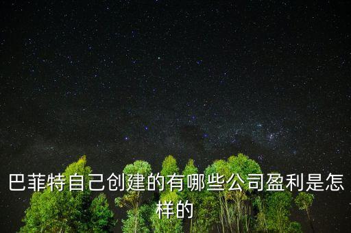 巴菲特是想收購(gòu)中國(guó)的什么公司，巴菲特自己創(chuàng)建的有哪些公司盈利是怎樣的