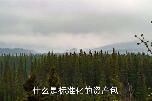什么屬于標(biāo)準(zhǔn)化資產(chǎn)，標(biāo)準(zhǔn)化資產(chǎn) 什么是標(biāo)準(zhǔn)化資產(chǎn)