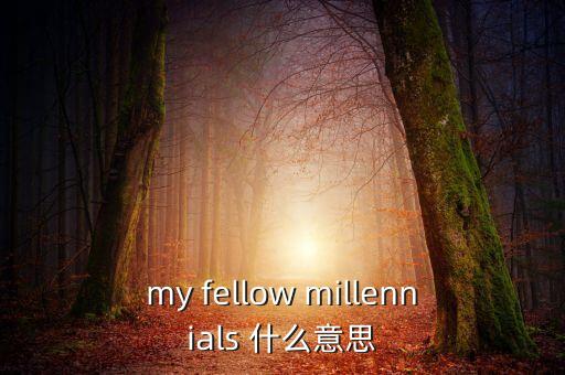 為什么叫千禧一代，my fellow millennials 什么意思