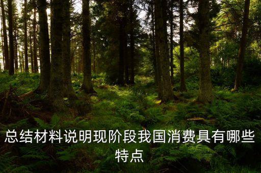 從材料的數(shù)據(jù)中反映了當(dāng)前消費(fèi)的什么特點(diǎn)，總結(jié)材料說明現(xiàn)階段我國(guó)消費(fèi)具有哪些特點(diǎn)