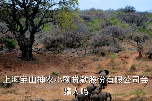 上海神農(nóng)小額貸款公司經(jīng)理叫什么，上海寶山神農(nóng)小額貸款股份有限公司會(huì)騙人嗎