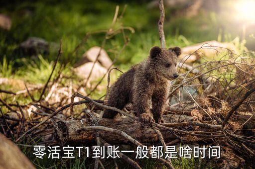 零活寶t是什么意思，零活寶T1到賬一般都是啥時(shí)間