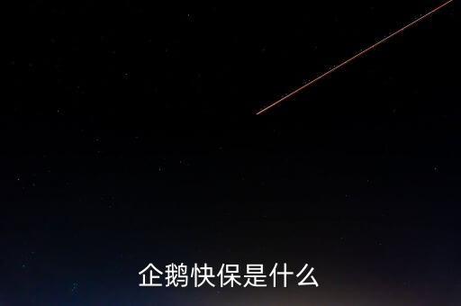 快保保險(xiǎn)是什么公司，企鵝快保是什么