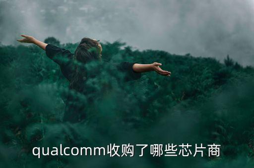 保千里收購什么公司，保千里股票以前叫什么