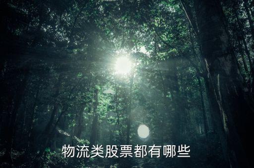 恒什么物流股票51元多一股，恒大高新 蕪湖安得物流 股票代碼