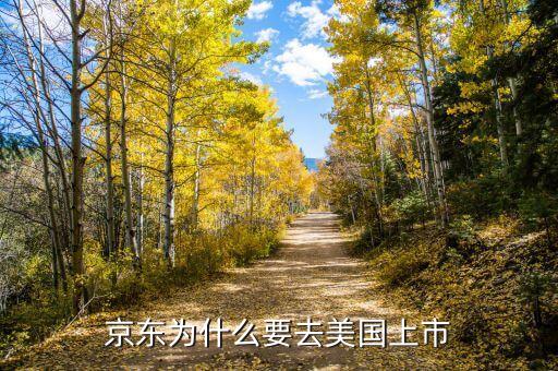 中國企業(yè)為什么去美國上市，為什么國內(nèi)的公司好多是在美國上市比如國內(nèi)的許多網(wǎng)游公司像盛