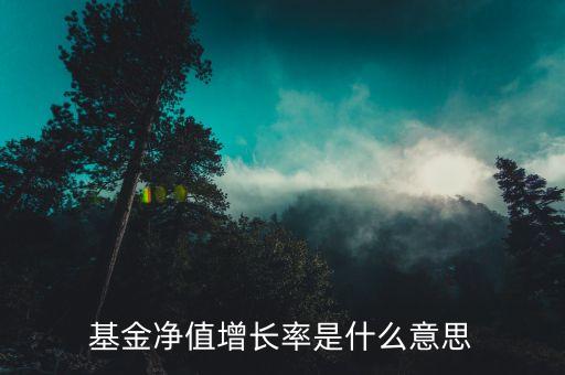 基金日凈值增長率是什么，什么是日凈增長率