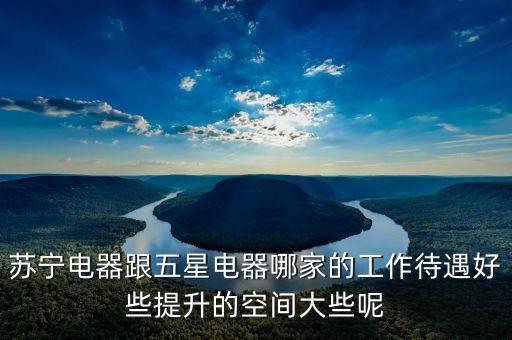五星電器運營和蘇寧有什么不同，蘇寧電器跟五星電器哪家的工作待遇好些提升的空間大些呢